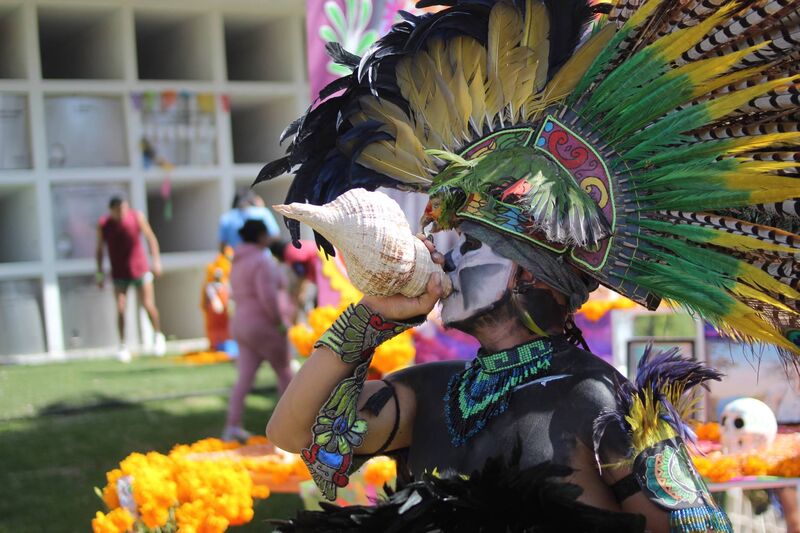 Danzante con penacho de plumas y rostro pintado toca el caracol durante el Festival de Día de Muertos, rodeado de cempasúchil