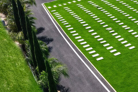 Vialidad pavimentada flanqueada por cipreses y jardines